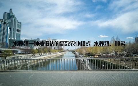 水养殖一种被低估的高效农业模式 水养殖, 顾名思义, 是指在水体中如鱼塘、湖泊、水池甚至海洋养殖水产品, 包括鱼类、虾类、藻类等