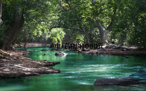 – 水电+药物约1000元
