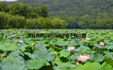 类似张明这样的创业者不在少数