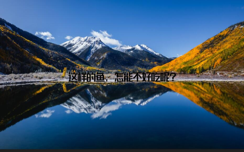 这样的鱼, 怎能不好吃呢?