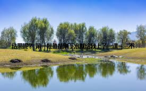结果呢? 第一批鱼苗刚下水就给我上了一课——不到一周, 鱼群集体“翻肚皮”, 血本无归! 后来才知道, 多宝鱼是“娇贵主儿”水温差超过2℃就应激, 溶氧不足直接窒息, 连换水急了都能要它的命