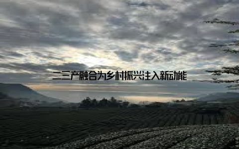 二三产融合为乡村振兴注入新动能