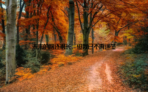 未来的路还很长, 但我已不再迷茫