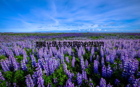 智能化是未来发展的必然趋势