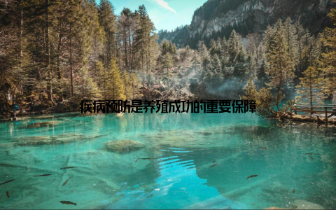 疾病预防是养殖成功的重要保障